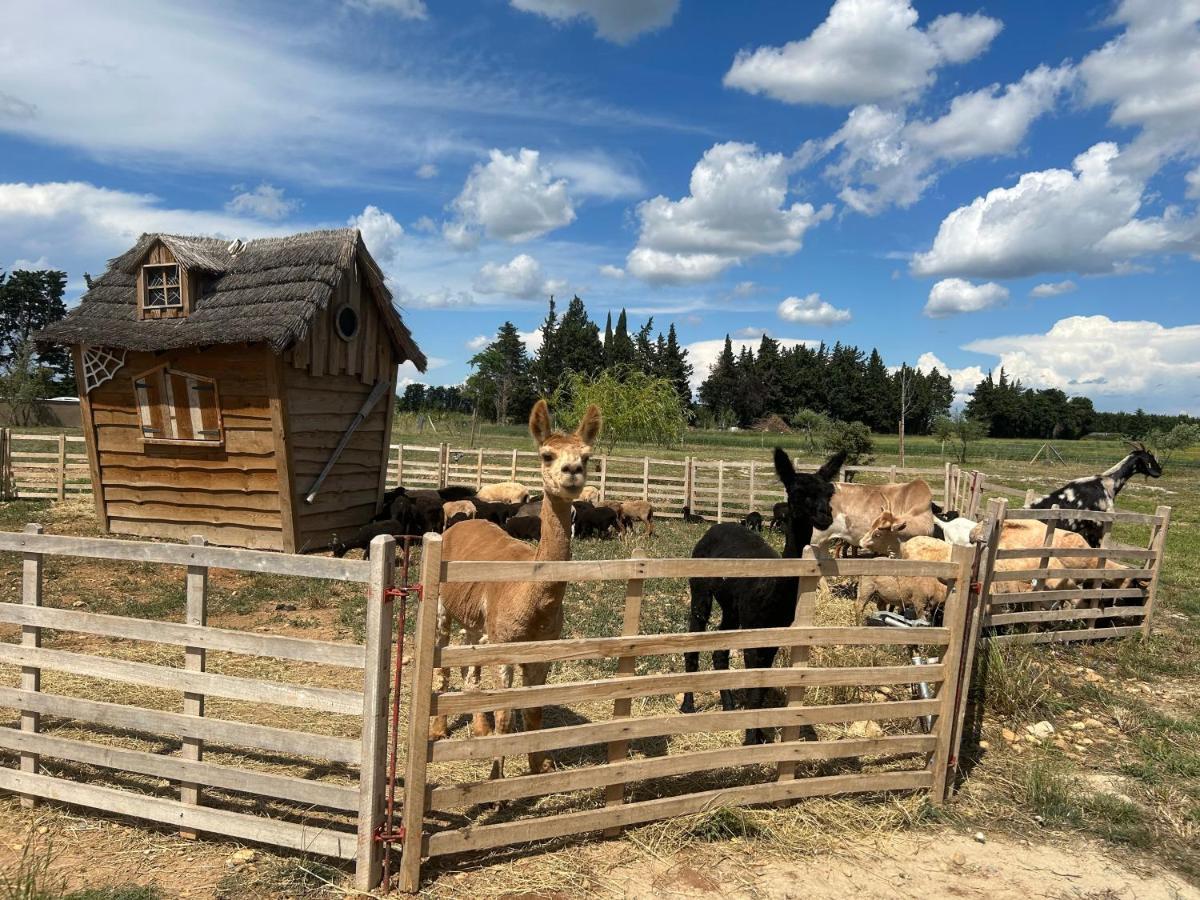 Gite A La Ferme Avec Piscine & Spa Арль Экстерьер фото